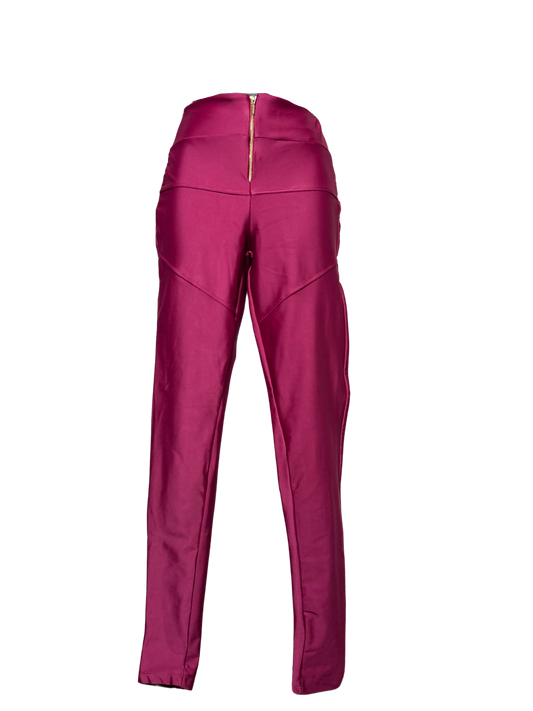 Burgundy Zip Up Pants